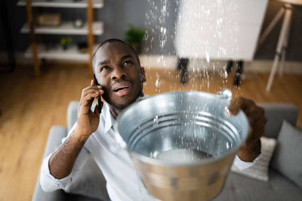 Best Professional water damage repair  in Baldwin, GA