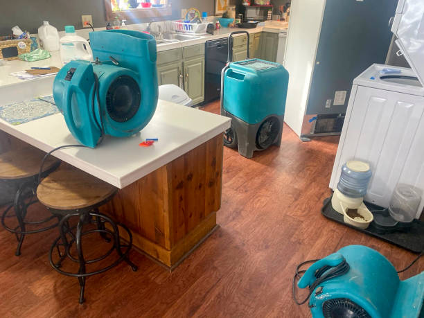 Best Water damage contractors near me  in Baldwin, GA