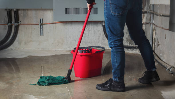 Best Flood restoration services  in Baldwin, GA