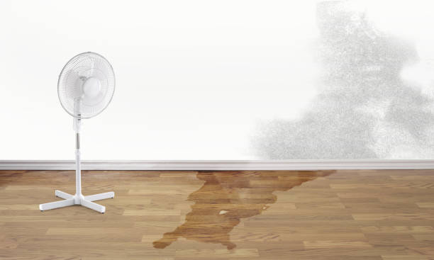 Trusted Baldwin, GA Water damage restoration Experts