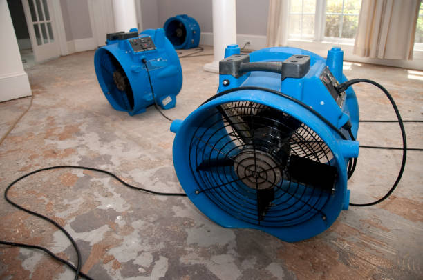 Best Water damage repair service  in Baldwin, GA