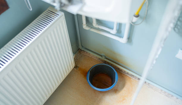 Best Water damage restoration process  in Baldwin, GA