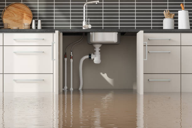 Best Water damage cleanup near me  in Baldwin, GA