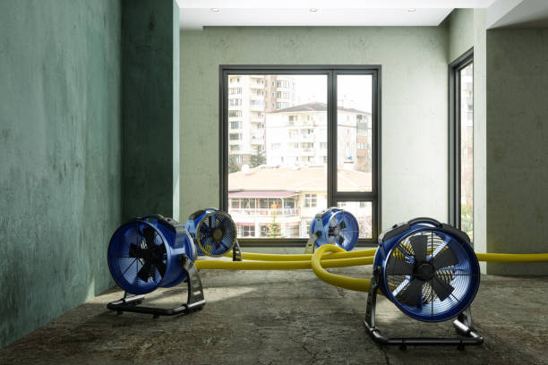 Best Local water damage restoration  in Baldwin, GA