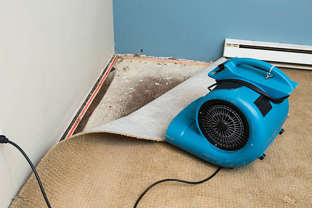 Best Ceiling water damage repair  in Baldwin, GA
